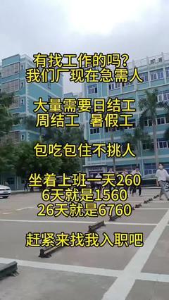 流水线旁的青春 电子厂的厂妹日常